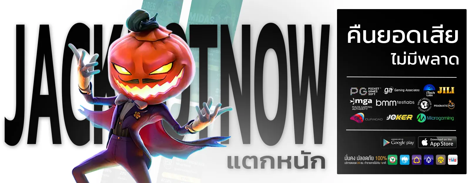 แพนด้า81